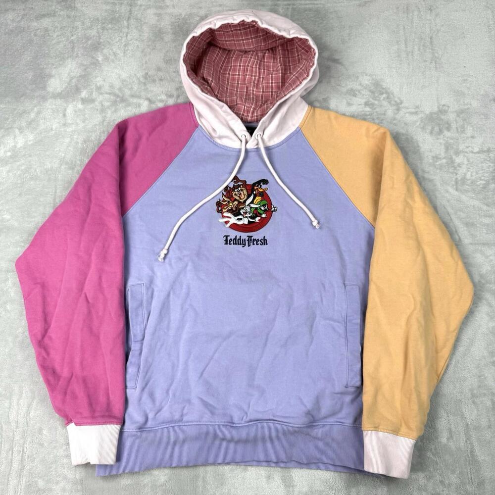 Teddy Fresh x Looney Tunes Colorblock Hoodie Size M Embroidered Graphic Fleece